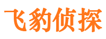 惠阳市调查取证